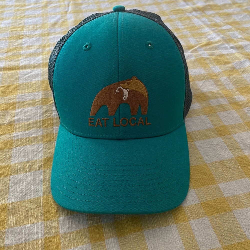 Mint condition Patagonia trucker hat!